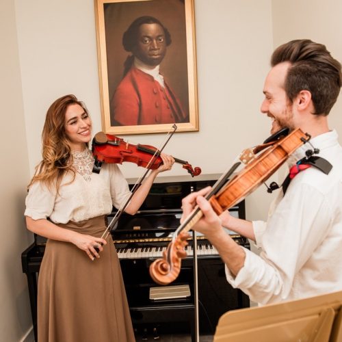Violin Lessons Tarzana