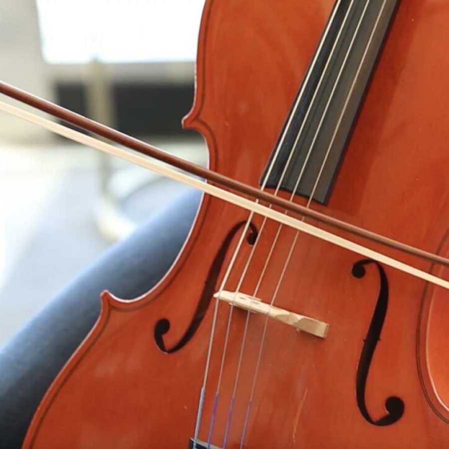 cello lessons in LA for adults and kids